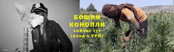 амф Елабуга