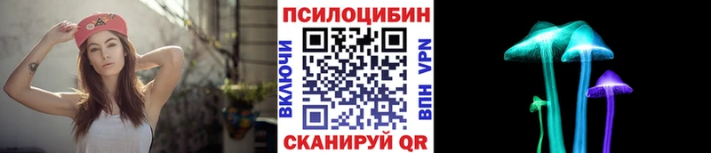 Псилоцибиновые грибы ЛСД  Суджа 